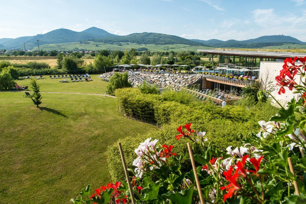 Hotel Barriere Ribeauville Luaran gambar
